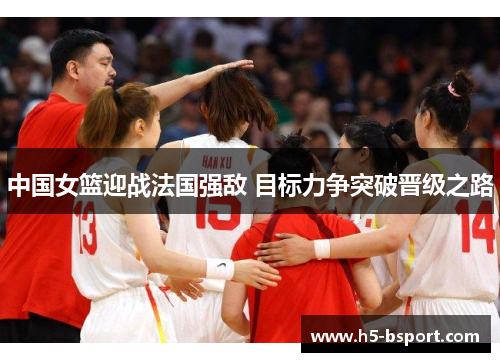 中国女篮迎战法国强敌 目标力争突破晋级之路